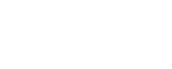 logo logo-bi